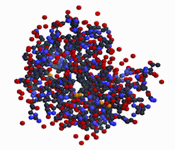 3-D Structure of Lysozyme